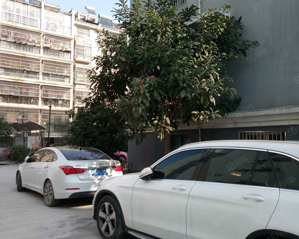 【金港嘉园, 金港嘉园小区详情,房价走势,房源,业主论坛】- 泰州58