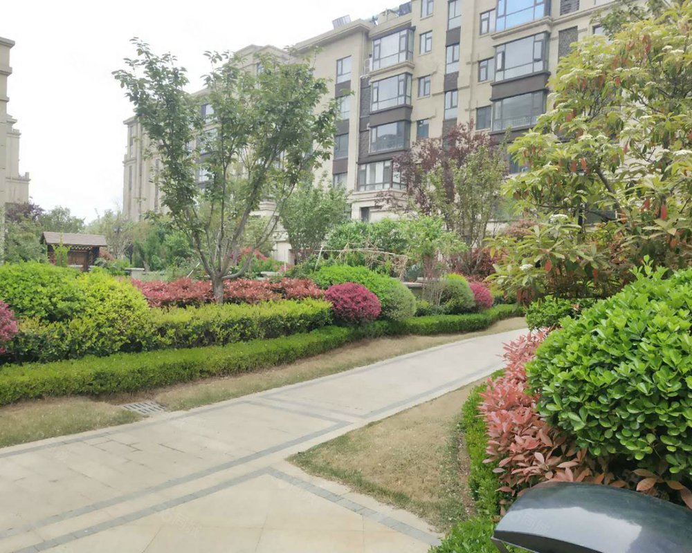 别墅), 汀香郡(别墅)小区详情,房价走势,房源,业主论坛】- 临沂58同城