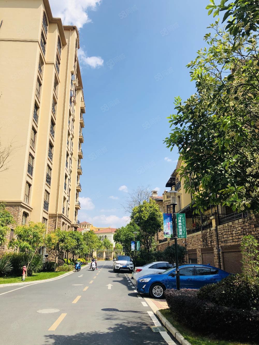 水岸星城3室2厅2卫114.71㎡南北95万