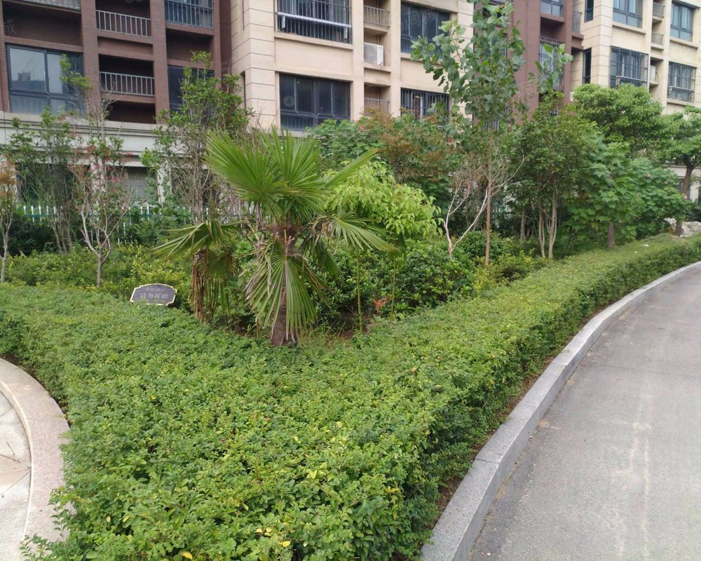 【西城晶华, 西城晶华小区详情,房价走势,房源,业主论坛】- 徐州58