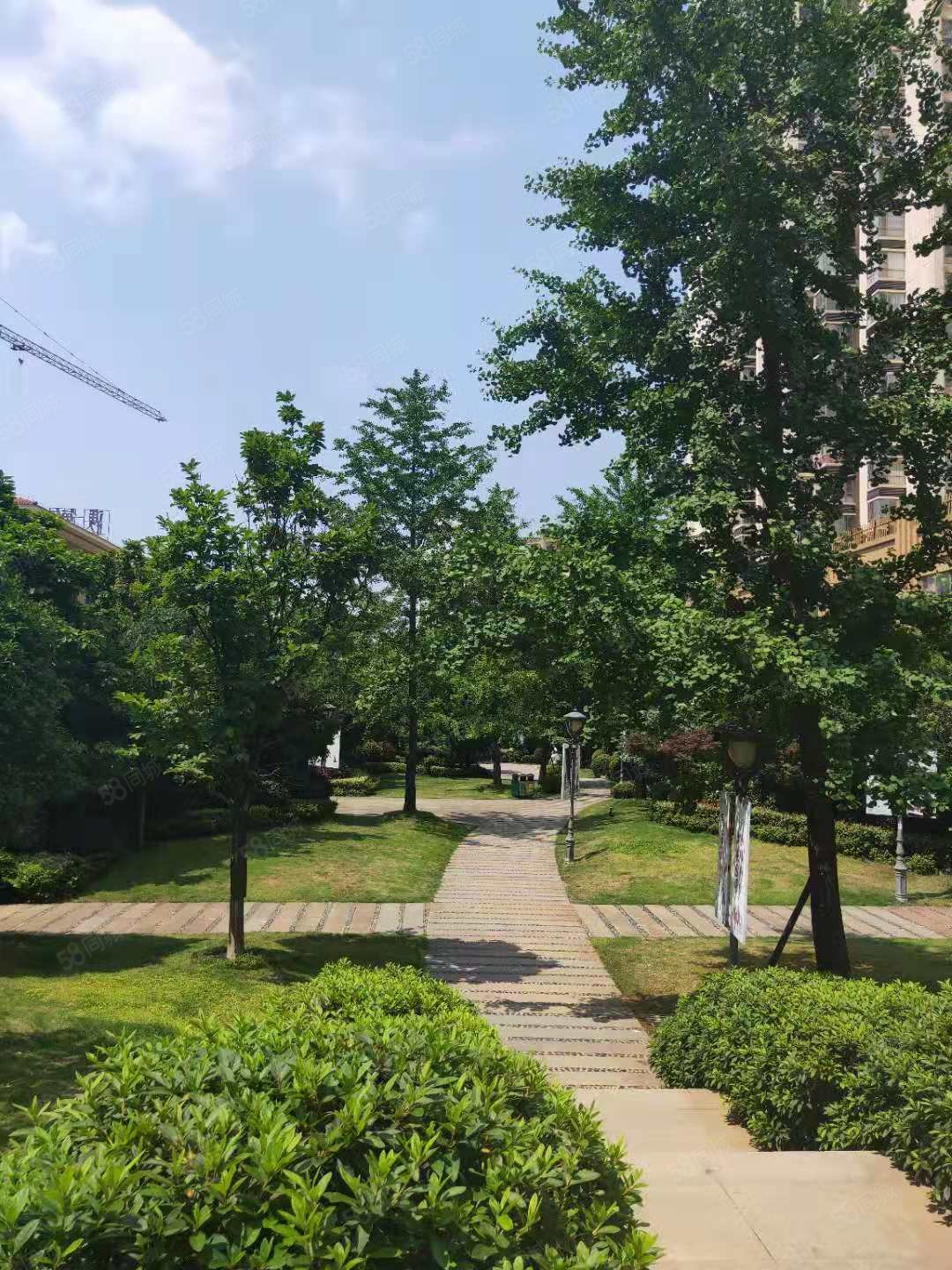 精装修 中央公园(清镇 满二 电梯房 采光好 周边商圈成熟