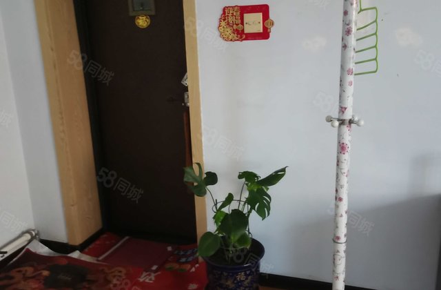 白酒厂教育集资楼2室1厅77.77㎡10万二手房图片