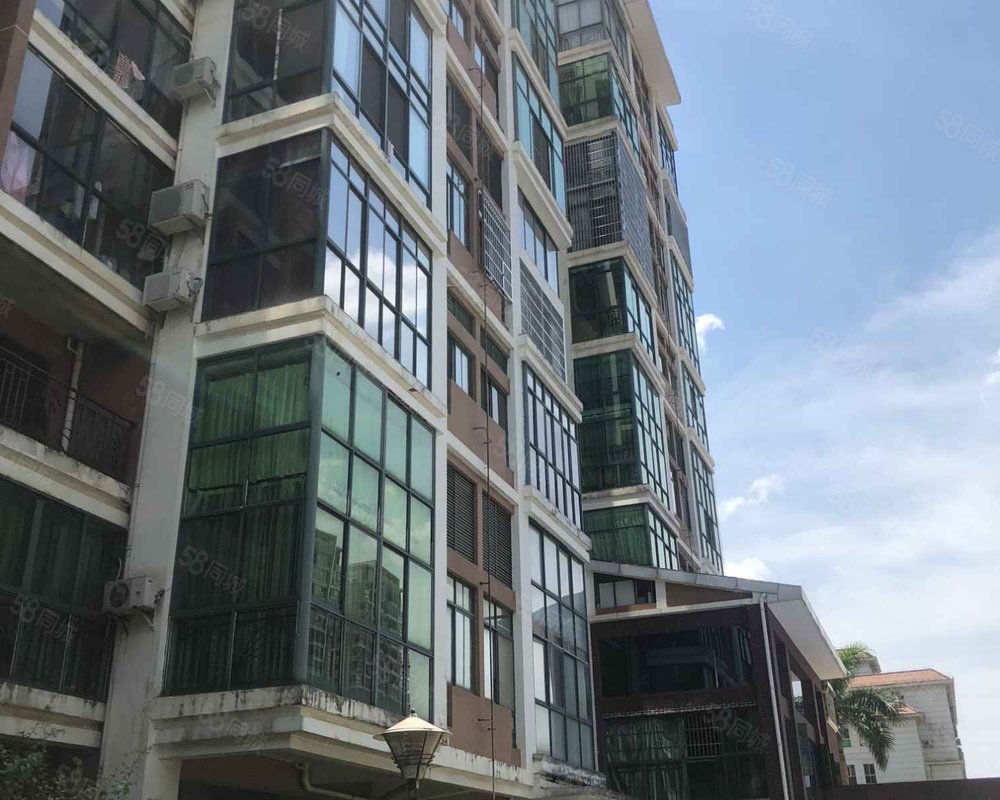 阳光巴洛克棕榈林