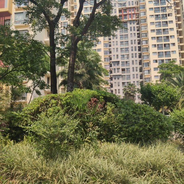 吾悦广场 中晟溪城一期精装3房 南北向 急售