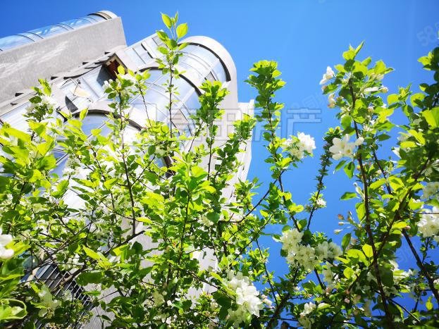 魯藝上河村(三區(qū))4室2廳4衛(wèi)263㎡南北3380萬(wàn)