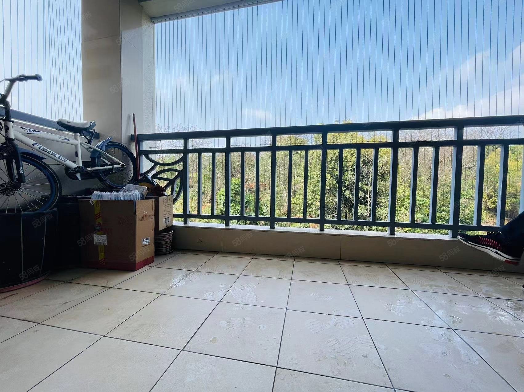 碧桂园翠堤春晓4室2厅2卫136.67㎡南49.9万