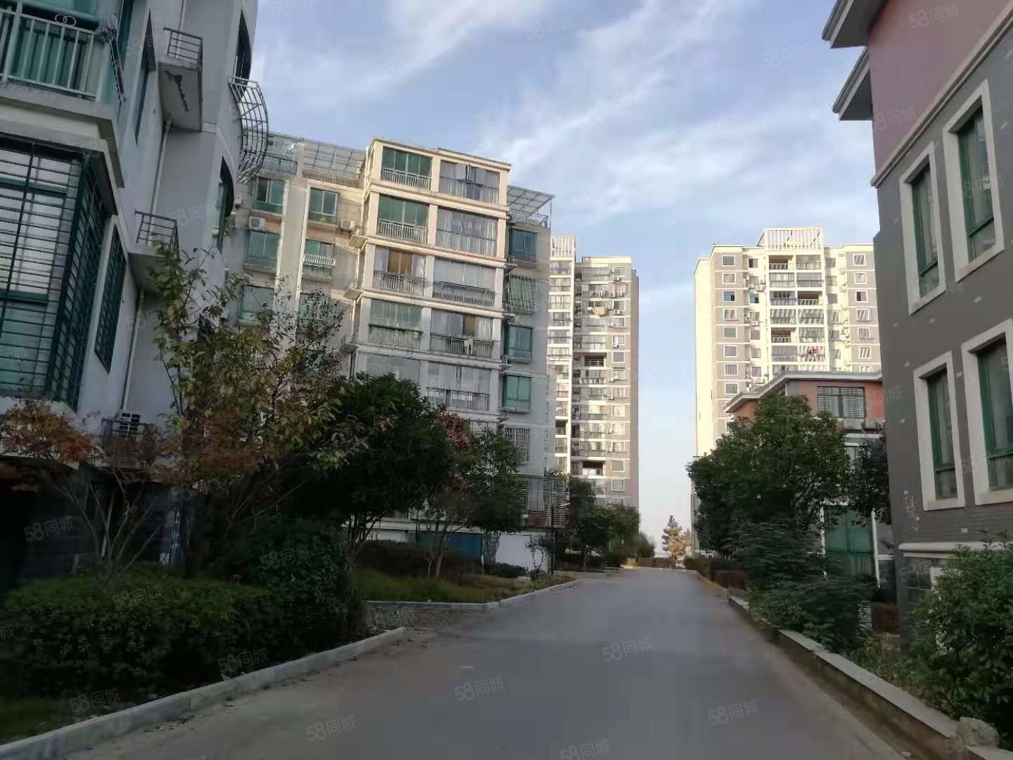 半岛豪园 正规小区 精装修 南北通透 进贤新区 拎包入住