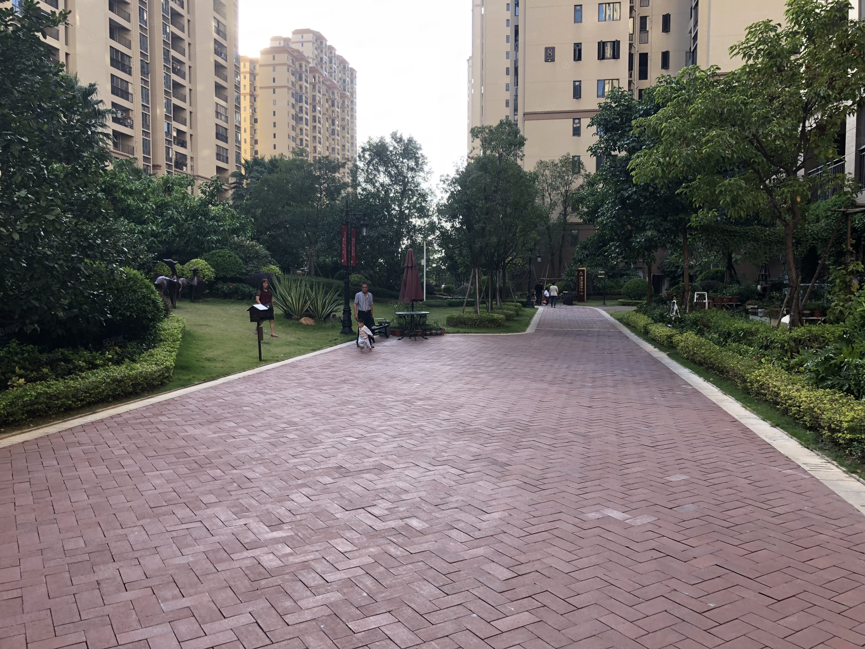 龙腾嘉园 高楼层视野好 双卫格局 板楼 满五   有电梯