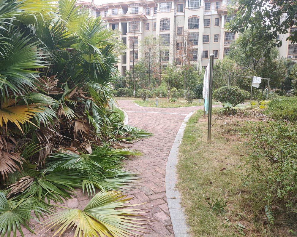 滨江新城兴国县