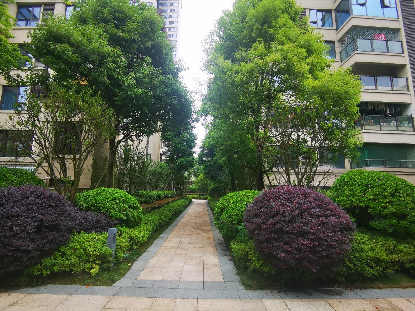 虹山湖湖景好房百灵虹湖湾五室顶楼复式145万俯视安顺