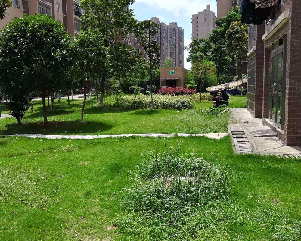 【洋湖景园, 洋湖景园小区详情,房价走势,房源,业主论坛】- 长沙58