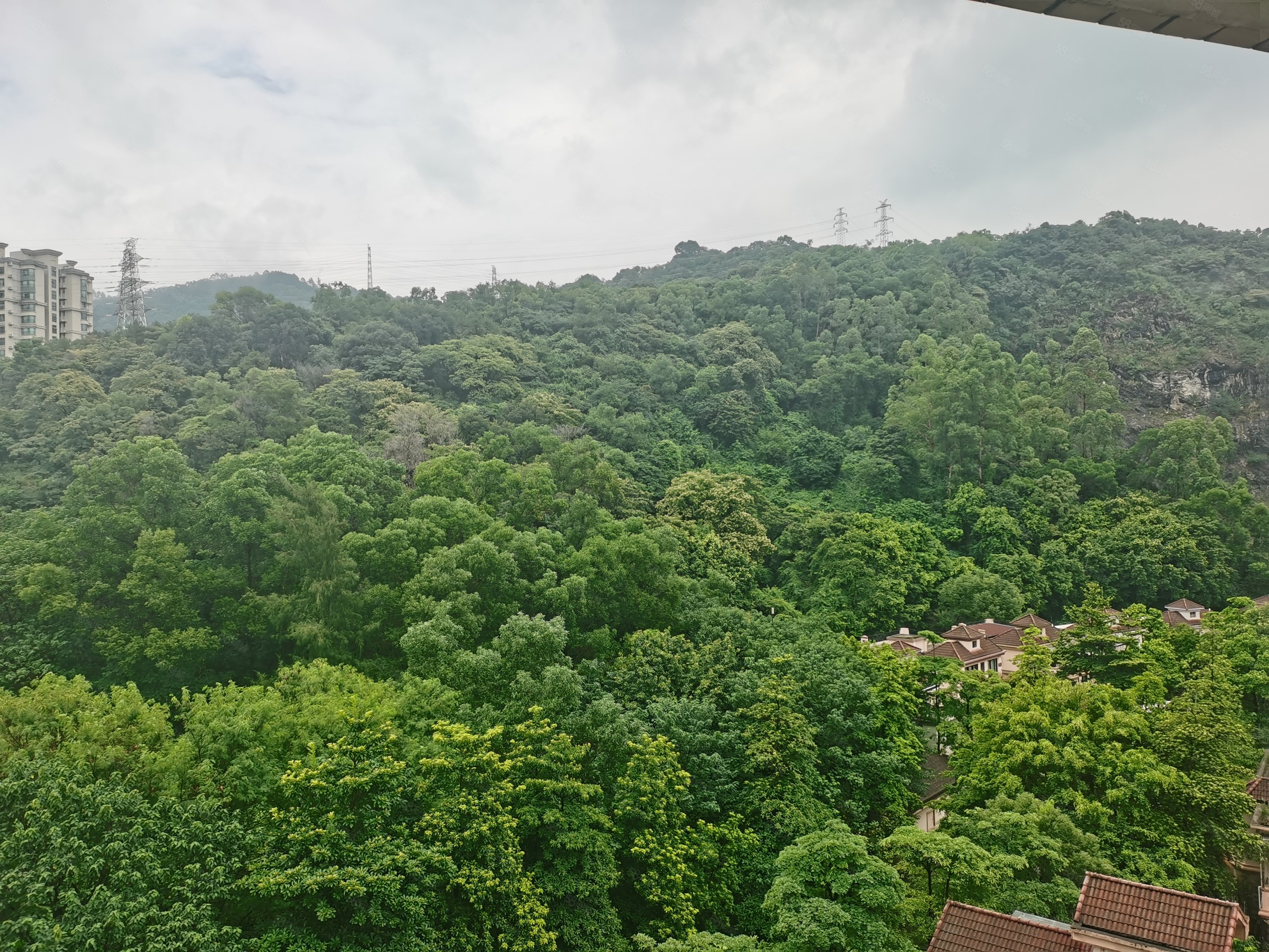 【10图】南湖半山豪廷 166方4房2厅 满5 急卖,南湖半山豪廷-广州58