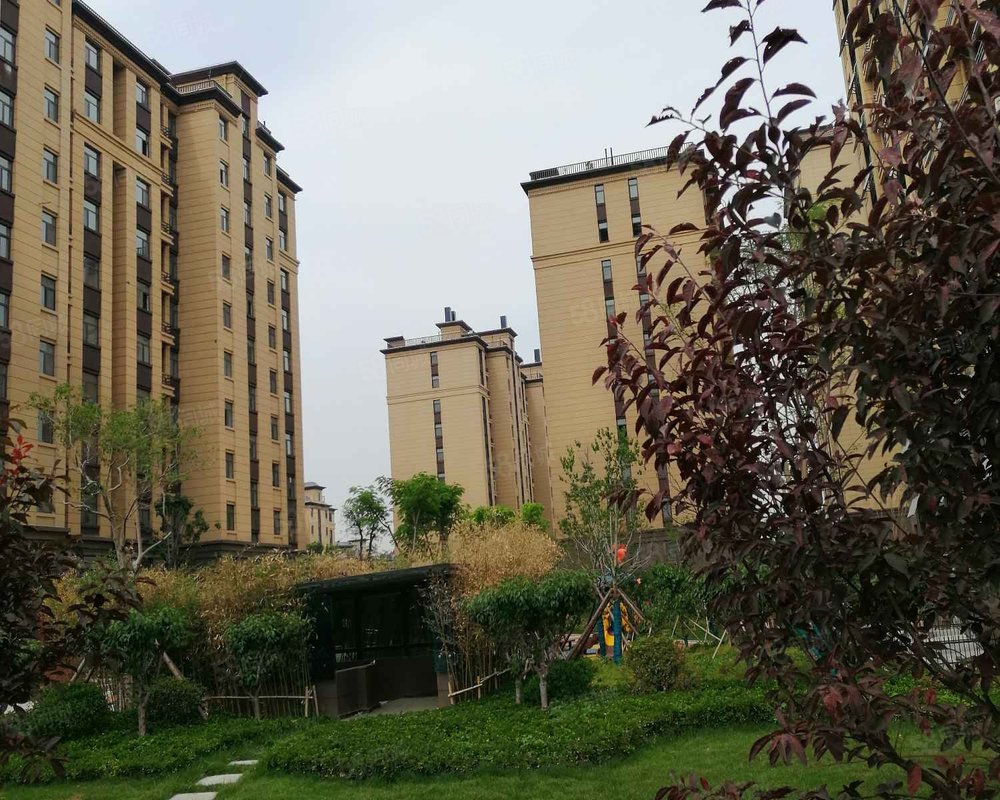 【鸿鑫俊景, 鸿鑫俊景小区详情,房价走势,房源,业主论坛】- 枣庄58