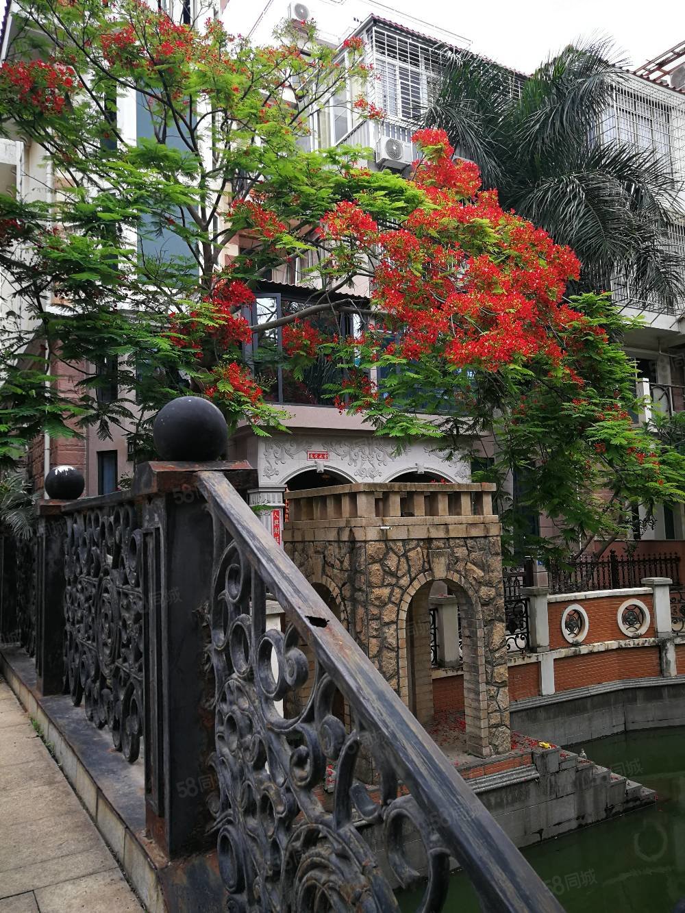 环东海域集美边界星海湾精装五房