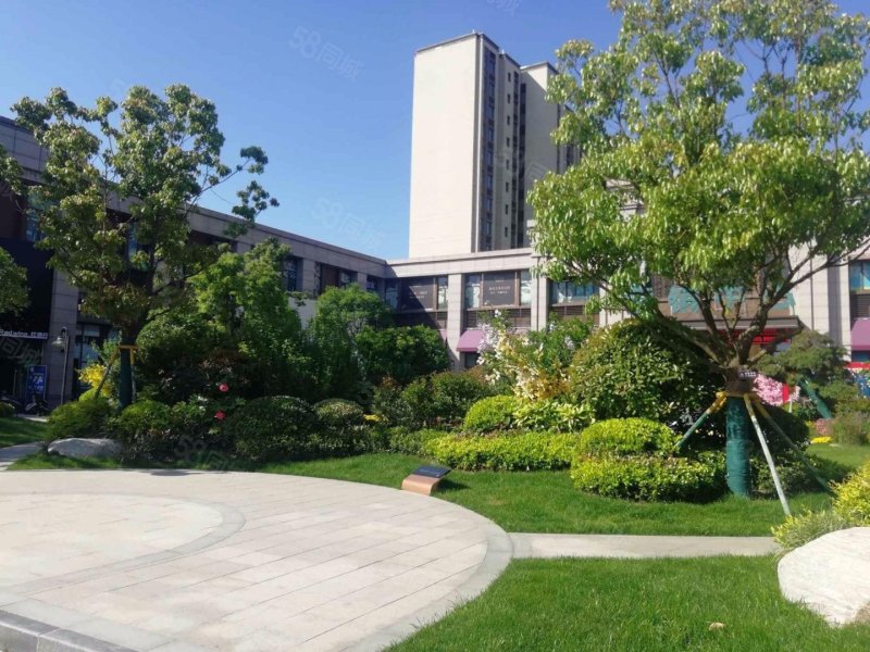 碧桂园天玺,  楼层,满二带车位