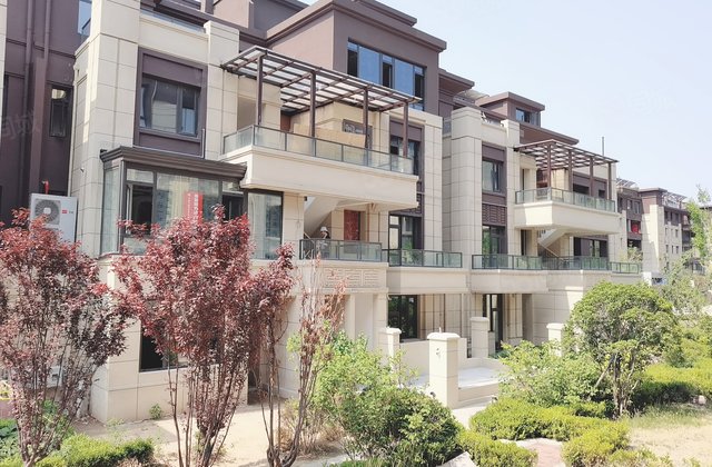 体育场西 叠拼别野 半山九里 观山悦 国悦府23275元/㎡398万张言香