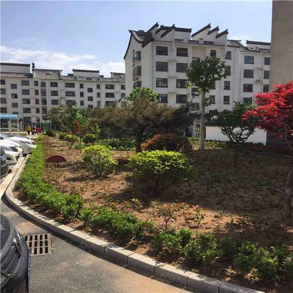 【龙山一品, 龙山一品小区详情,房价走势,房源,业主论坛】- 肥城58