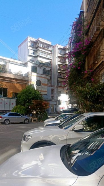花灯团住宿区4室1厅2卫125㎡南55万