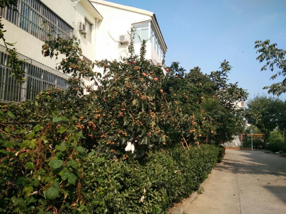 2楼 迎胜中小学 岱下阳光花园 擂鼓石路,擂鼓石花园-泰安58同城