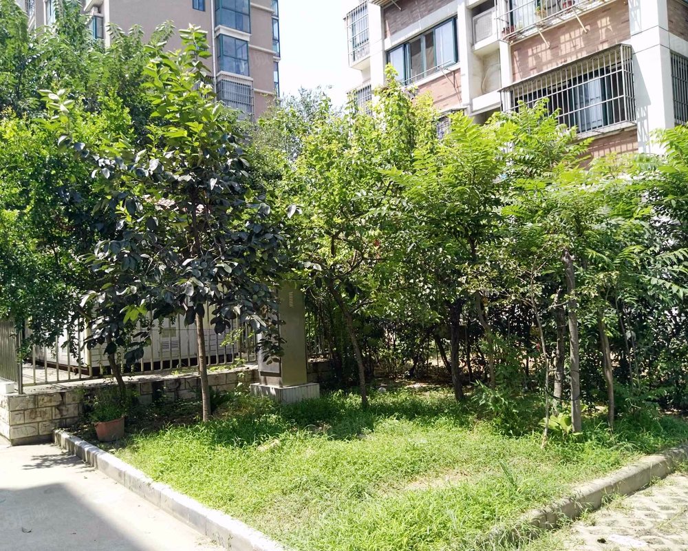 金润嘉园二环三环之间