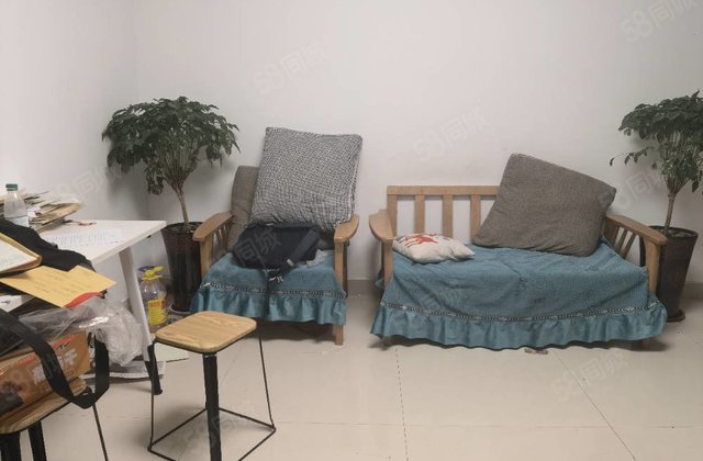 文轩 八中 羡林苑 东关国际 三室可隔四室户型 步梯三楼