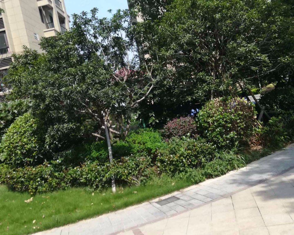 【锦海名园, 锦海名园小区详情,房价走势,房源,业主论坛】- 宁波58