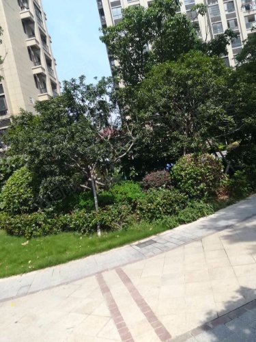 【锦海名园房价走势,锦海名园房屋出租,锦海名园二手房出售】- 宁波58