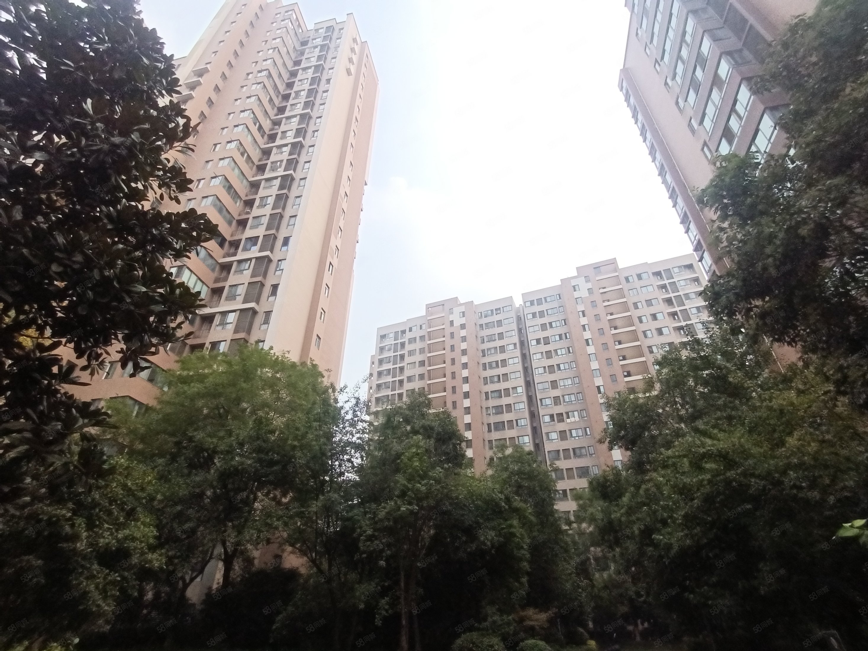 天地源枫林意树4室2厅2卫146.29㎡南462万