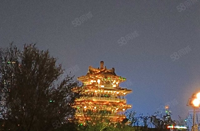 诚信出售 低容积 南向采光好 房东诚心卖