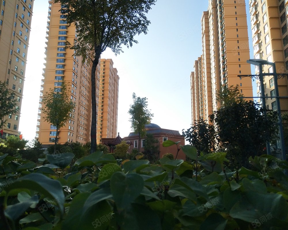 【东信国际, 东信国际小区详情,房价走势,房源,业主论坛】- 大同58