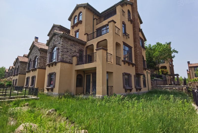 四层联排别墅温泉入户315平196万青建橄榄树