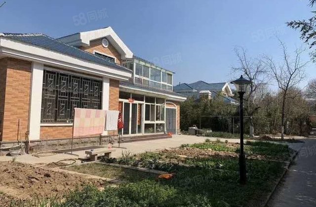急售 开发区高素质小区 聊大花园 310平独栋别墅 上下两层