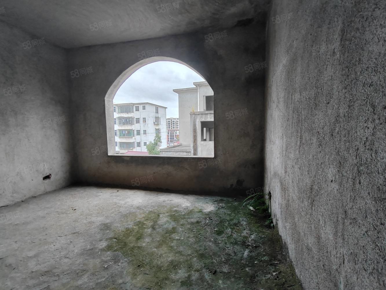 湖田壹号7室3厅3卫420㎡南北169万