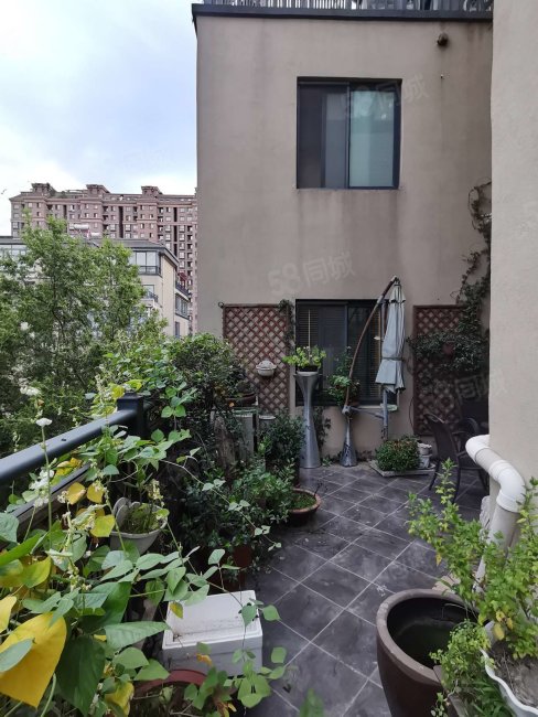 香溢江南双双都在一览无余高端大气上档次舒适度高