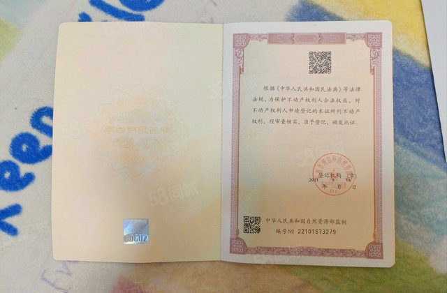 中环十一区(乐亭街)2室1厅56.56㎡33万二手房图片