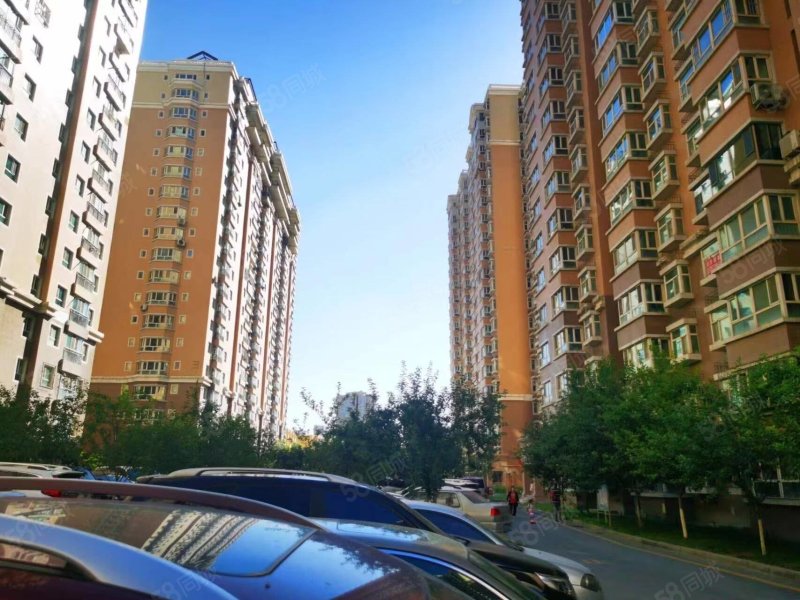 新市区政府商圈喀什路金鑫花园115.15平精装电梯3室