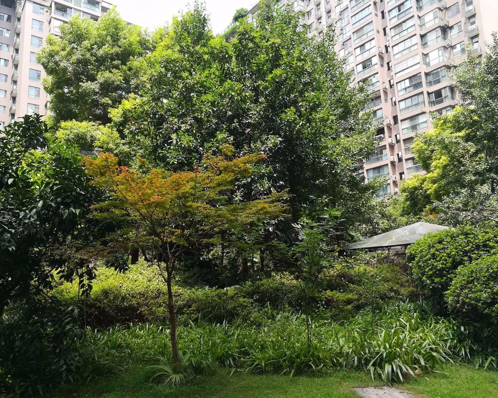 【华清园, 华清园小区详情,房价走势,房源,业主论坛】- 武汉58同城