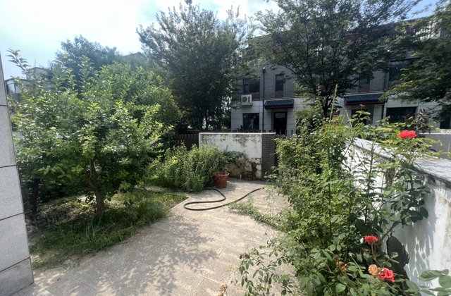 急售 东昌府院北区 前后院 大露台 看房方便