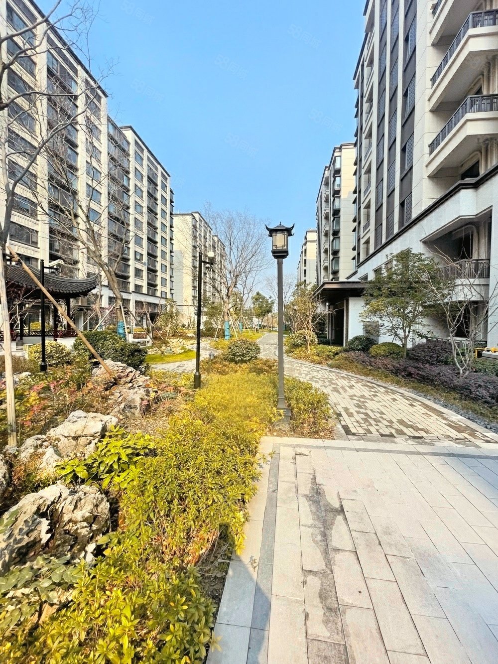 太仓新区锦绣朝阳花园万达广场旁近市民公园小区绿化高