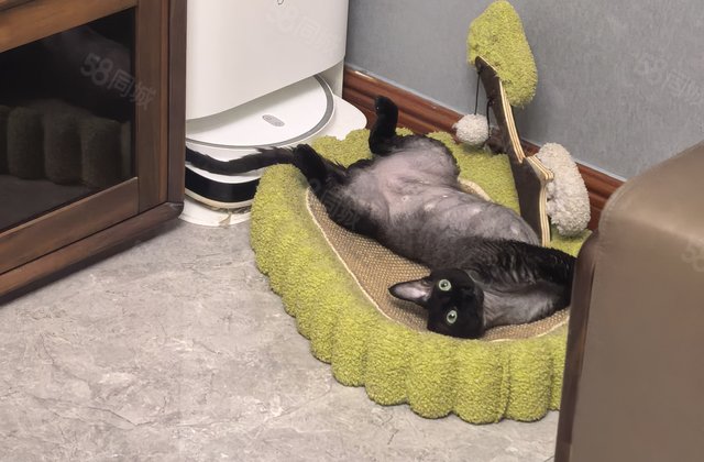 看房方便 次新房 双卫格局 南向采光好 送车位 房东直卖