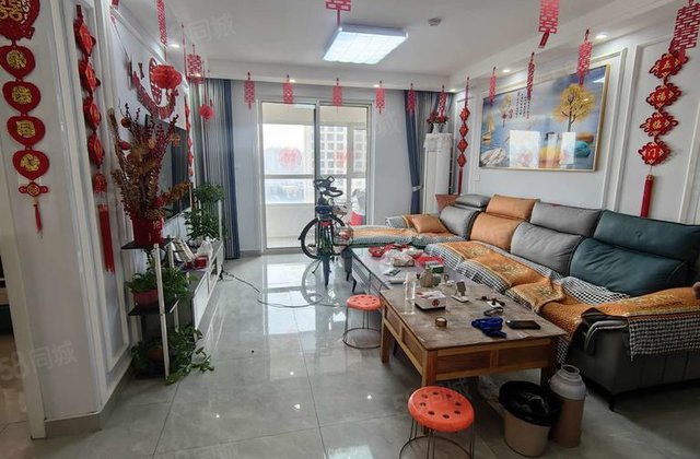 阿尔卡迪亚六期 电梯房免大税带储藏室 南北通透采光好精装修