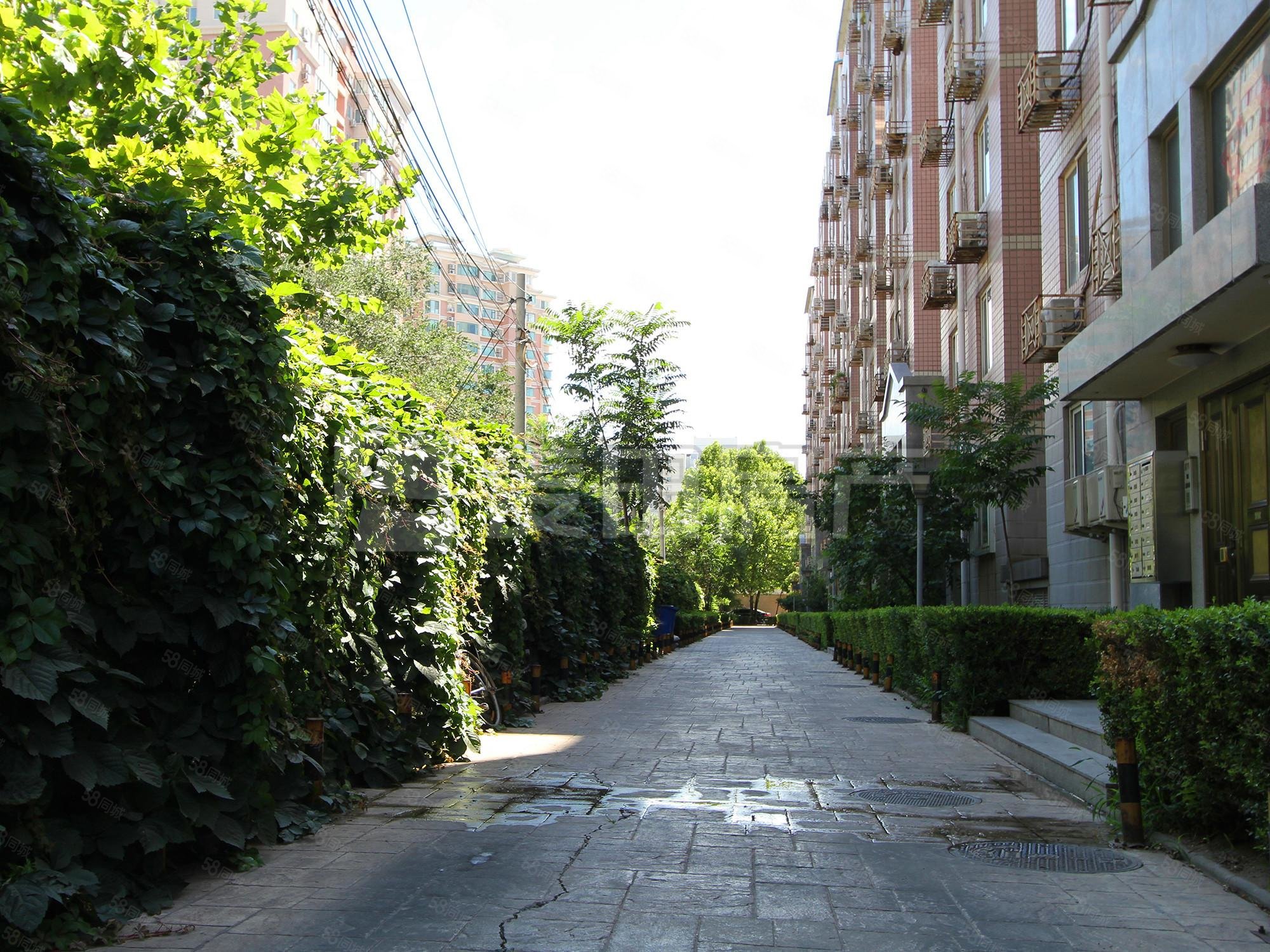 南北通 4室2厅 颐安嘉园 精装修