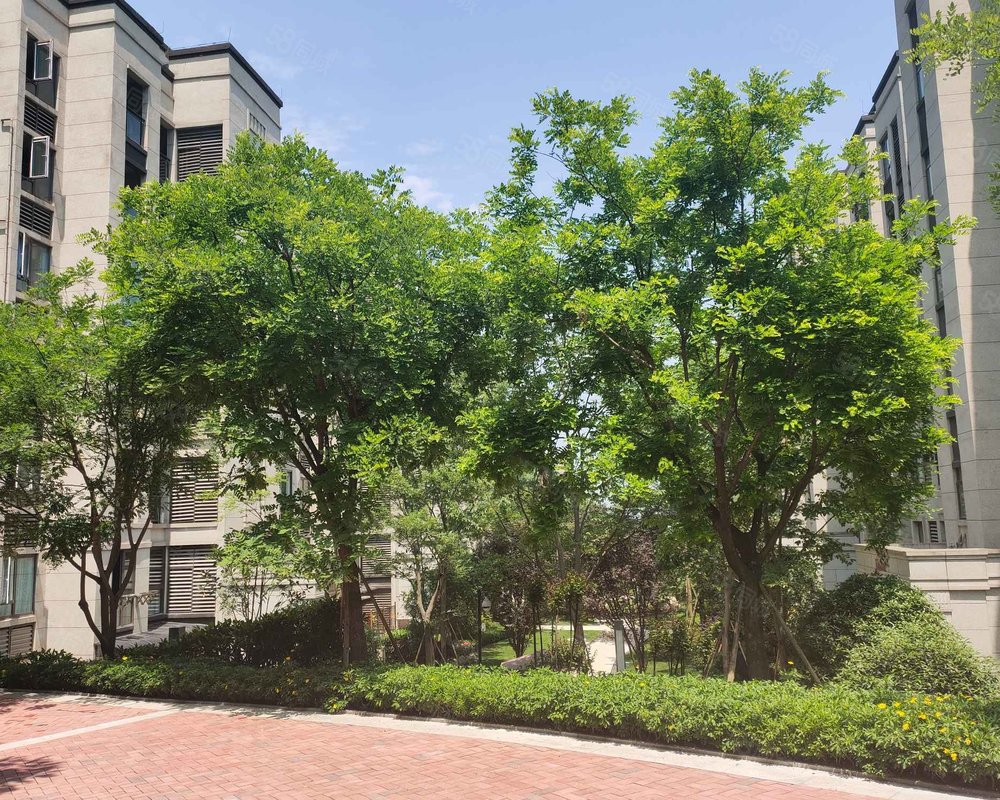 【绿地城(二期), 绿地城(二期)小区详情,房价走势,房源,业主论坛】