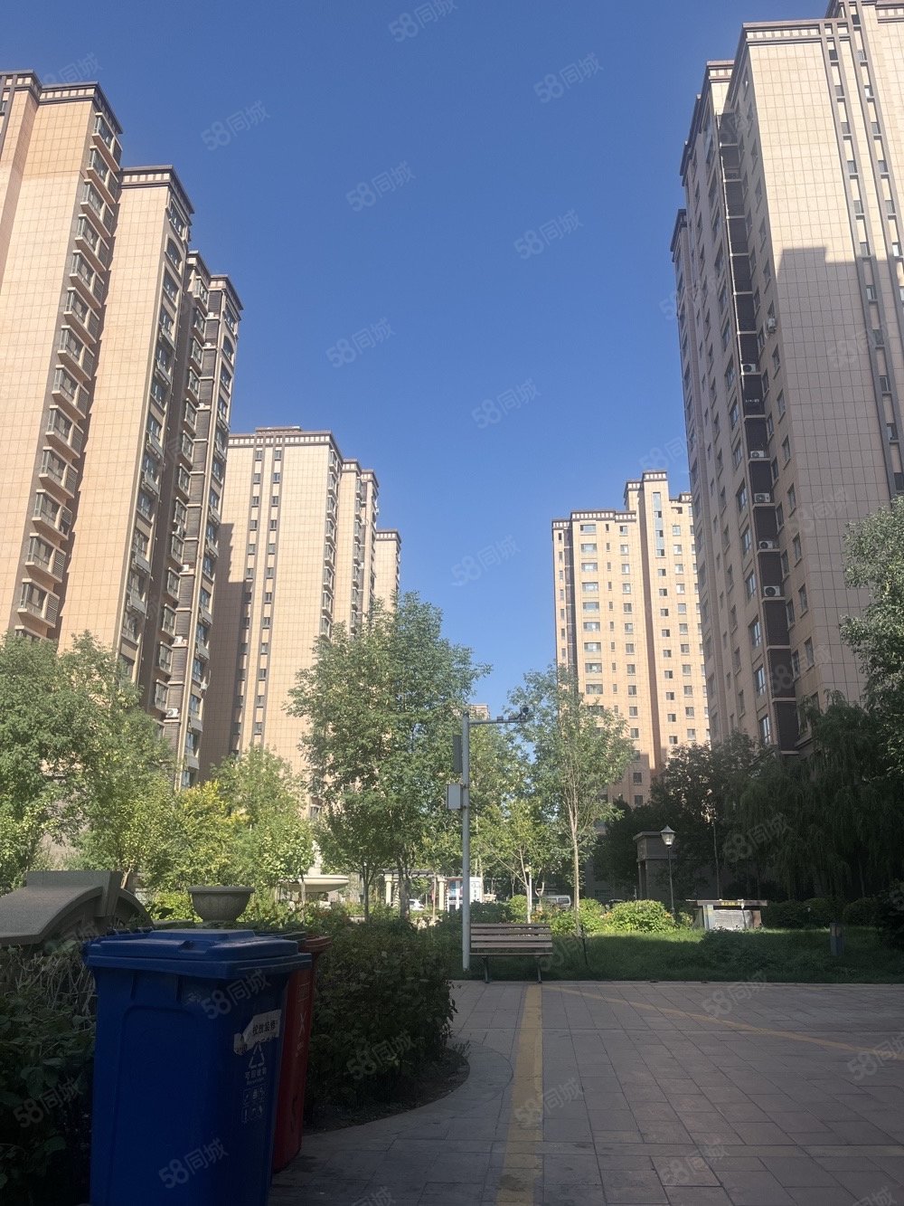 紫煜臻城煜园3室2厅1卫140㎡东99万