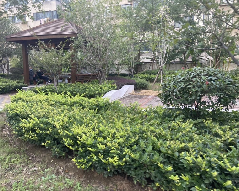 【戎安华府, 戎安华府小区详情,房价走势,房源,业主论坛】- 武汉58