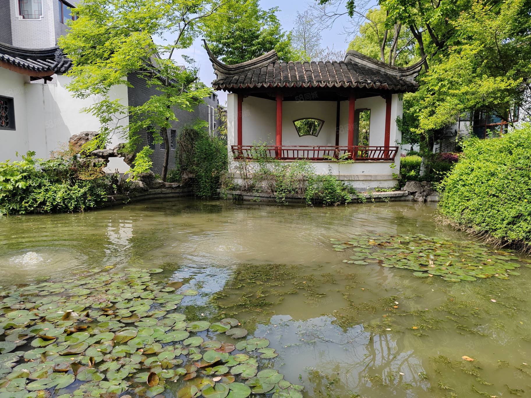 花园占地1000平,中国院子-武汉58同城