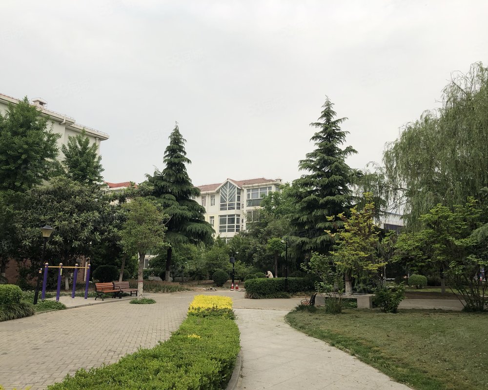 建业森林半岛小区详情,房价走势,房源,业主论坛】- 商丘58同城