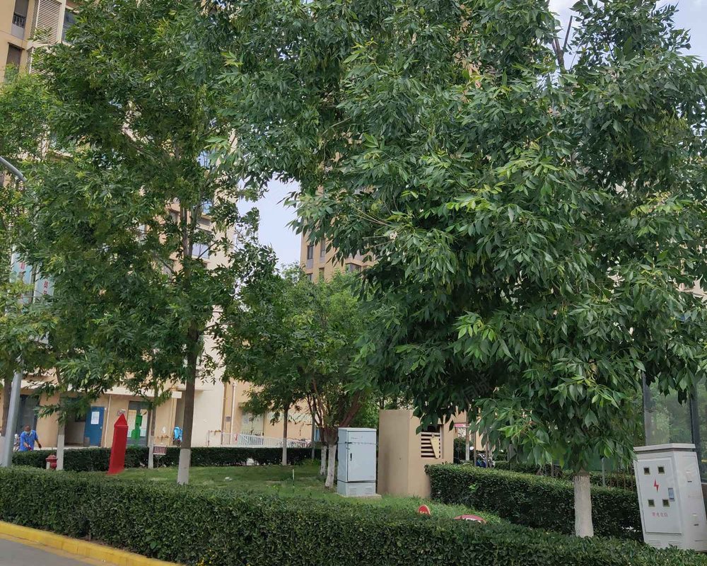 【辰悦家园, 辰悦家园小区详情,房价走势,房源,业主论坛】- 天津58