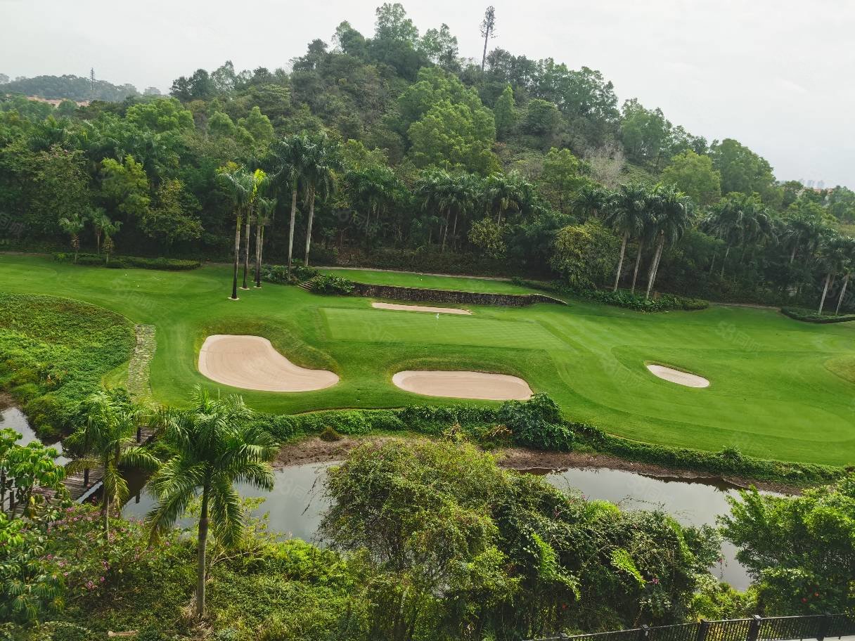 5大房一线高尔夫景,南向精装,观澜湖新城站地铁,观澜豪园观景赛维纳