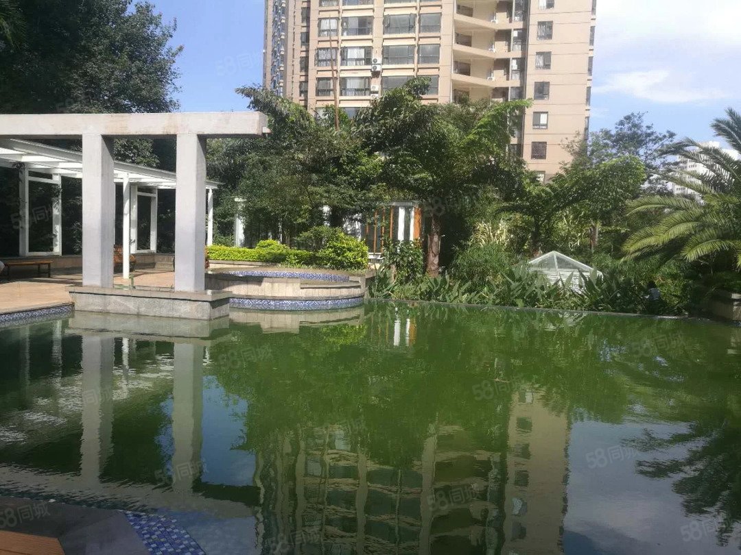 师范大学地铁口精装三室版筑翠园云大附中师大实验中学结构板赠送